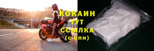 spice Богородицк