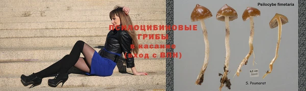 spice Богородицк