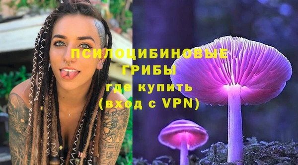 прущий лед Аркадак