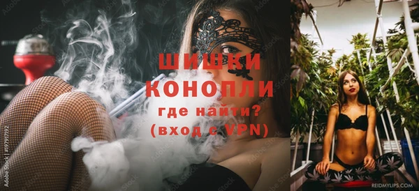 spice Богородицк