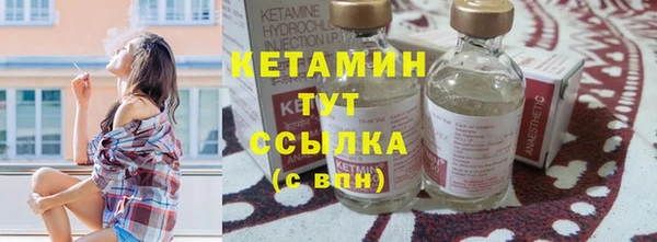 spice Богородицк